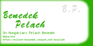 benedek pelach business card